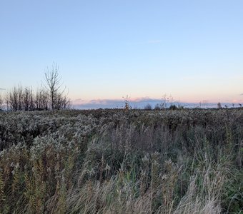 Вечерняя симфония