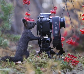 Работает Профи!