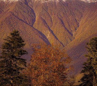 Краски осени