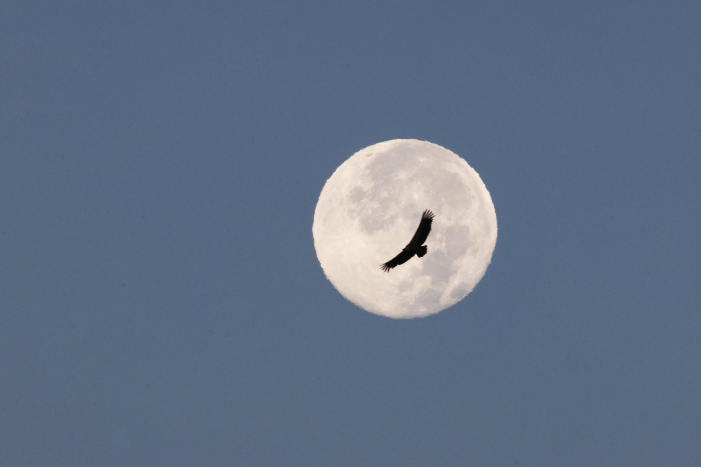 Полнолуние