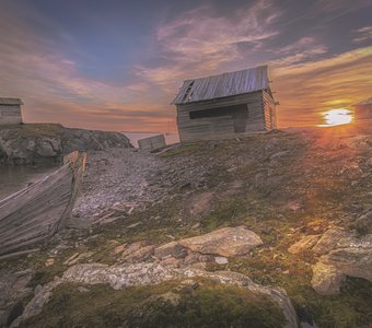 Несуровая суровая Арктика