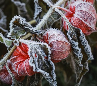 Зима близко..