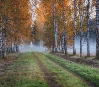 Осенняя аллея