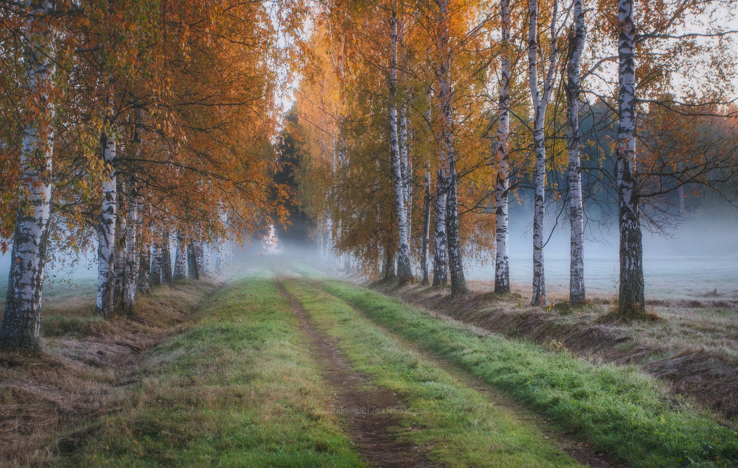 Осенняя аллея