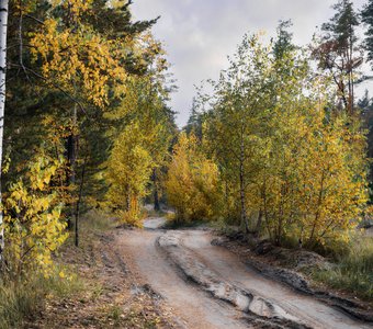 Вечер в осеннем лесу