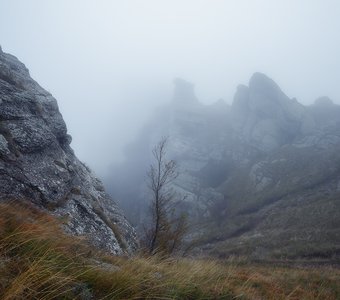 Туманное утро на вершине Демерджи