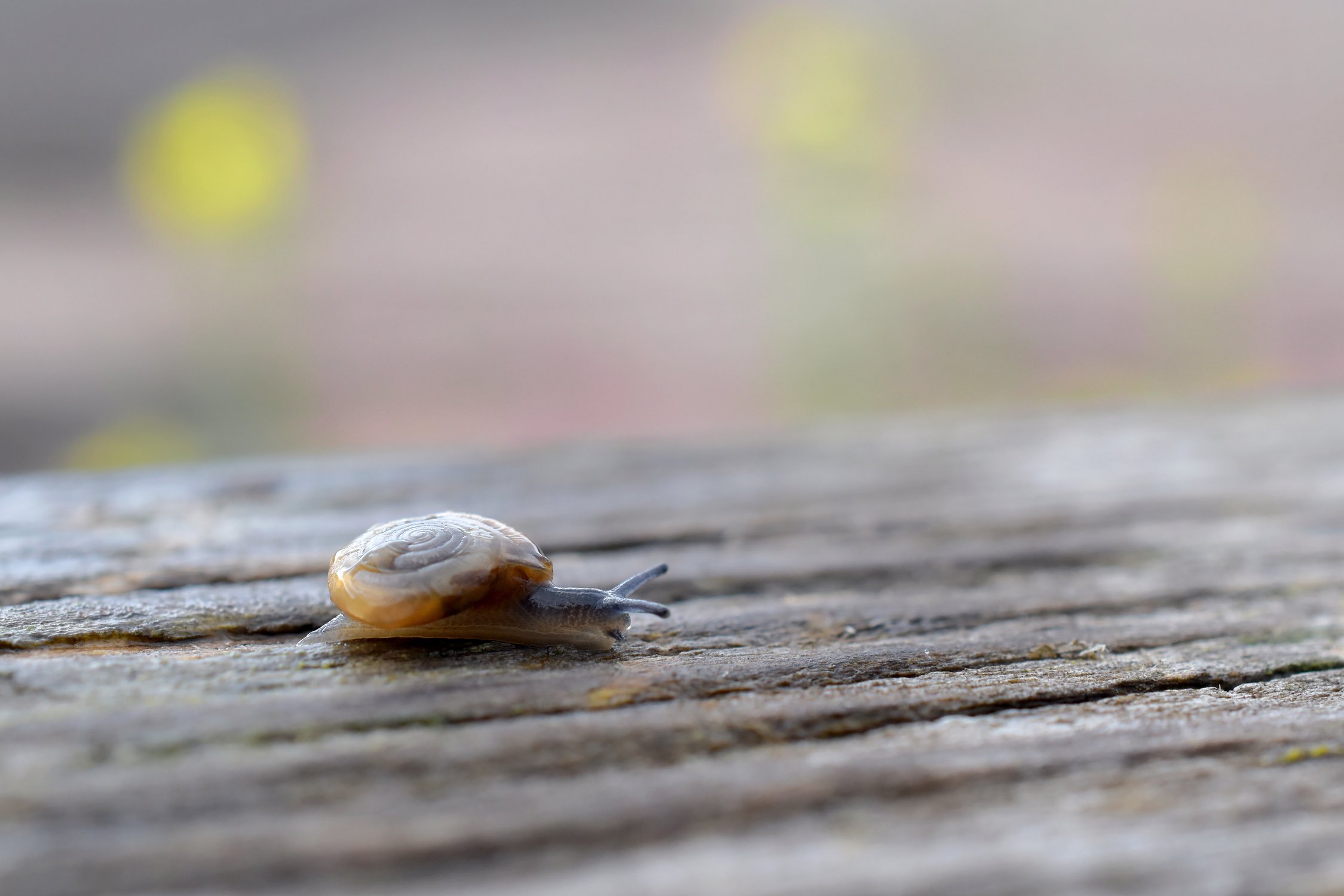 Плавный ход