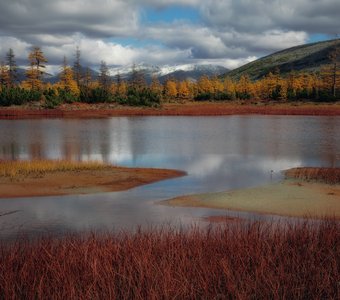 Разноцветная осень