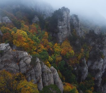 Осенний лес на вершине Демерджи