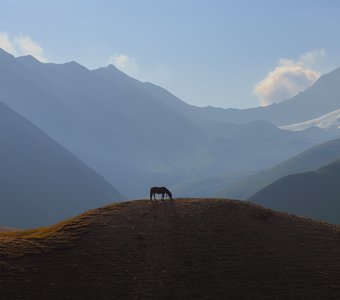 Утренний свет