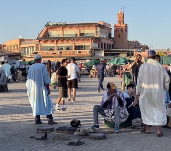 Заклинатели змей. Марракеш