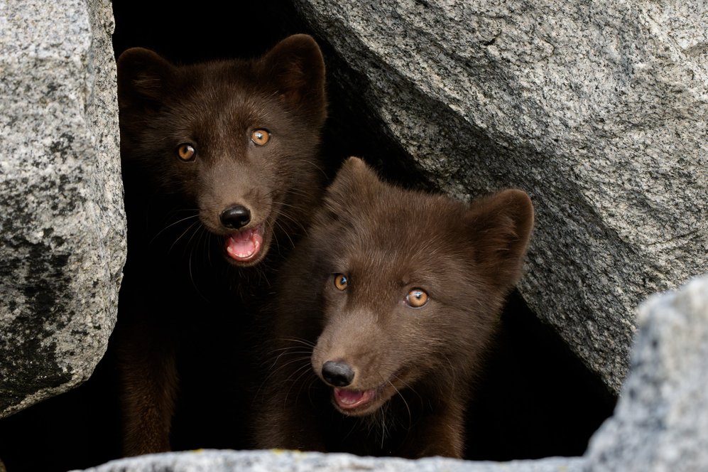 Фото: Илья Труханов / фонд «Природа и люди»