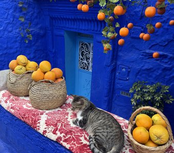 Самый синий город в мире Шефшауэн. Марокко