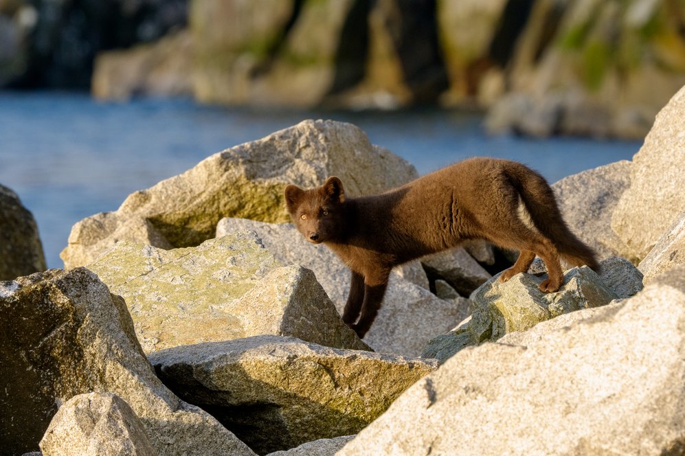 Фото: Илья Труханов / фонд «Природа и люди»
