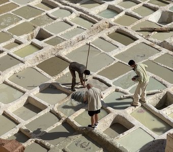 Фес. Красильни кожи