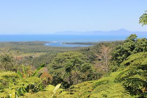 Пенсионерку забыли на острове в первый день круиза мечты. Она погибла
