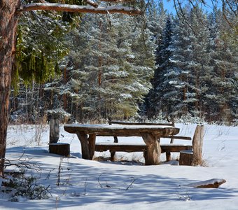 Место под соснами