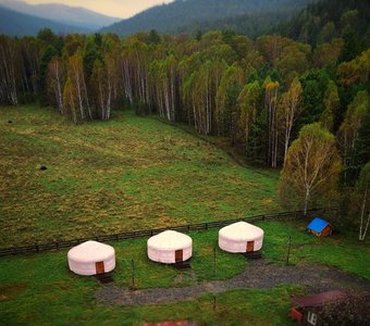 3 юрты 🛖🛖🛖