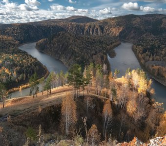 Манская петля