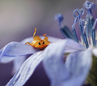 Минутка отдыха