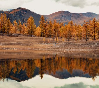 Осенний Орлик