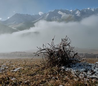 Первый снег