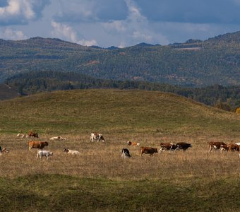 Горная симфония Башкирии