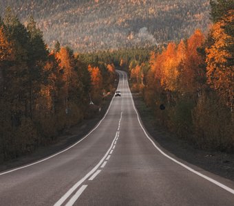 Осенняя дорога