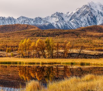 Осень на Алтае