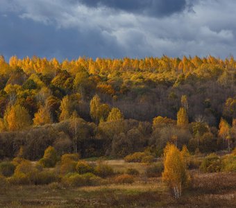 Осенние краски ее величества Природы