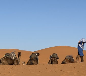 Погонщик верблюдов разминается