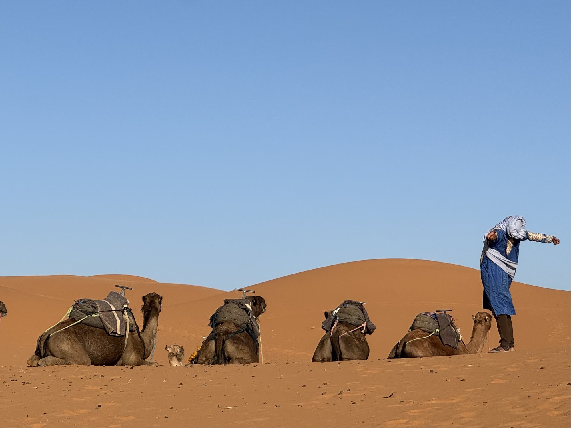 Погонщик верблюдов разминается