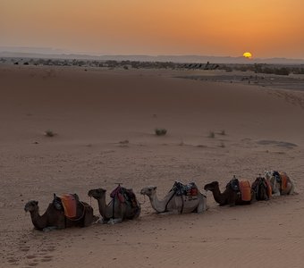 Рассвет в Сахаре