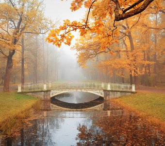 осень в Царском селе...