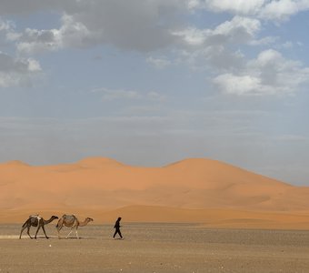 Сахара. Марокко