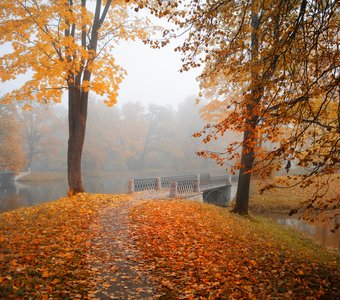 осень в Царском селе...