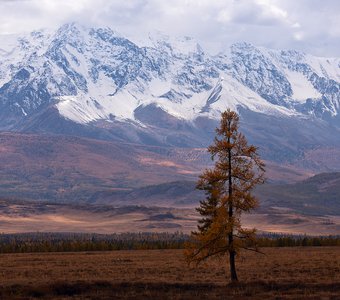 Один в поле