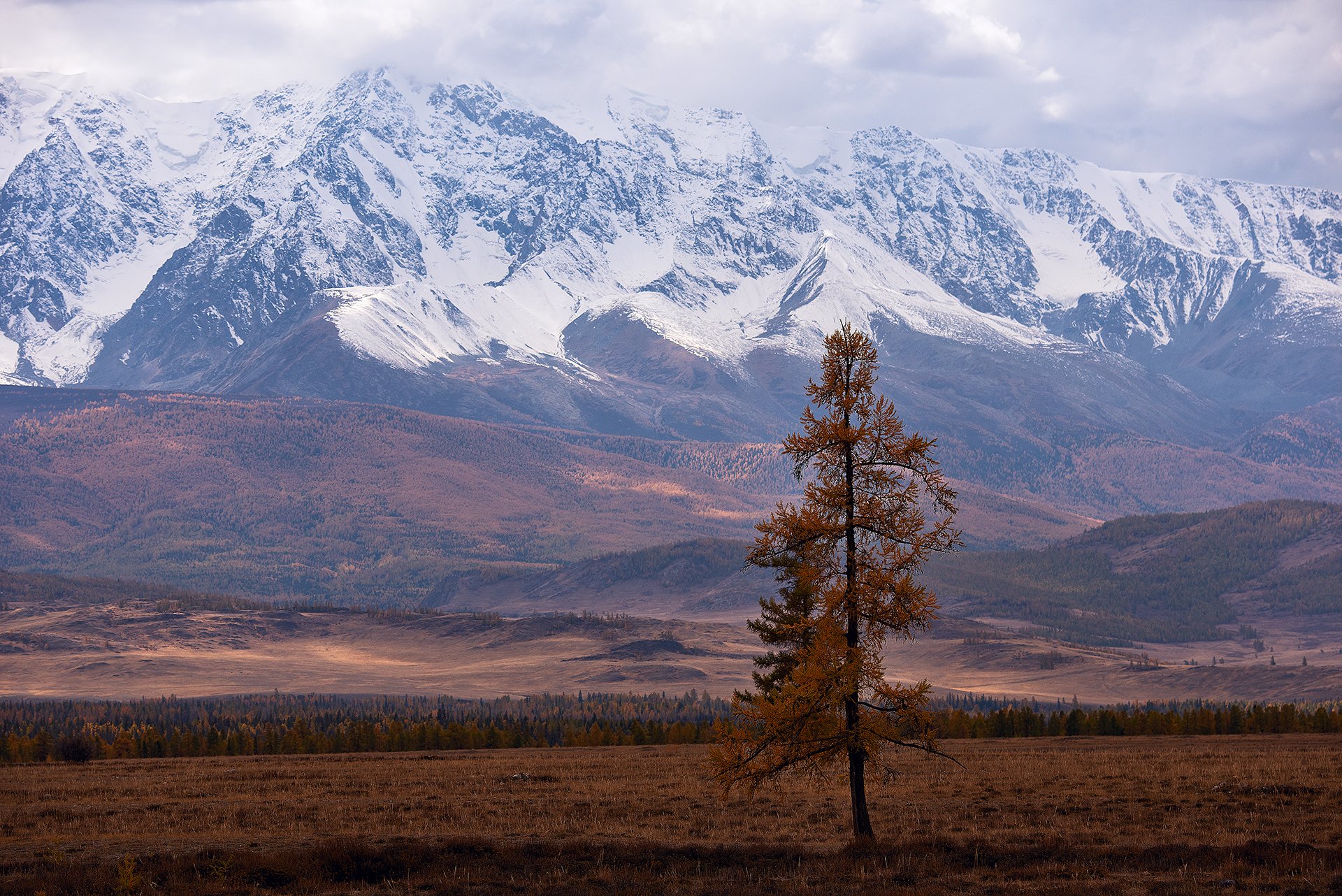Один в поле