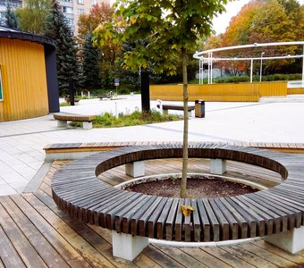 Осень на площадке