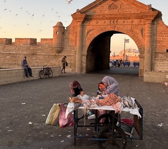 Вечерний улов в Эссавейре
