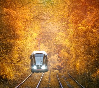 Осеннее, трамвайчиково-сокольническое