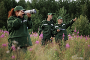 В сердце тайги: зачем экологи изучают природу Восточной Сибири