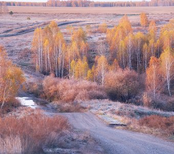 Осень в Кургане