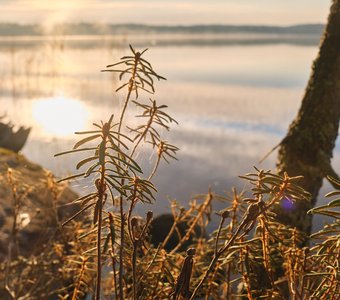 Встреча солнца