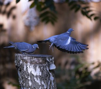 Взлётная площадка