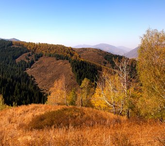 Аккорды осени