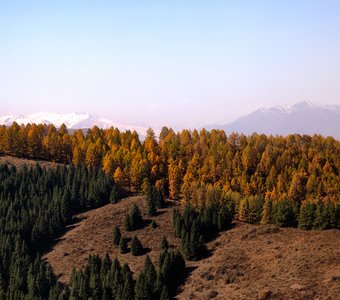 Аккорды осени