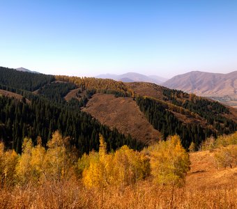 Аккорды осени