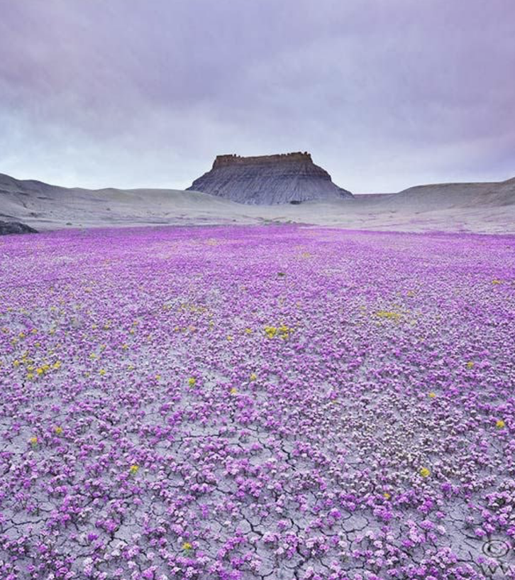 Фото: социальные сети