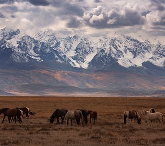 Хмурится небо